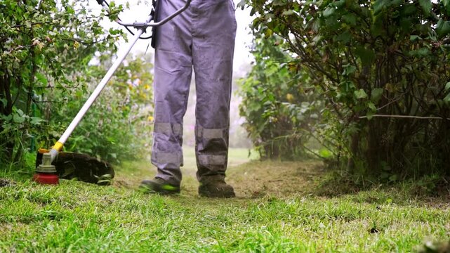 Worker cuts grass with handheld trimmer near bushes. Dusty path forms behind mower's path. Grass clippings swirl as machine moves forward. Worker focused, steady, controlling trimmer