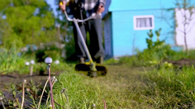 Man mows grass with motorized reel mower. He wears boots and plaid shirt. Bright blue house stands in background. Grass blades fly as machine moves. Dandelions dot the green lawn