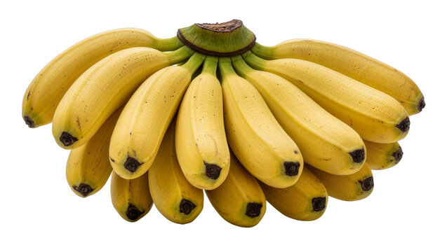 Bunch of ripe yellow bananas with dark tips, isolated on transparent background