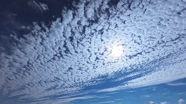 秋空の鱗雲
