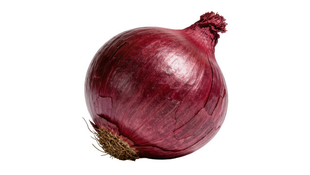 Whole red onion with dry papery skin and rootlets, isolated on transparent background