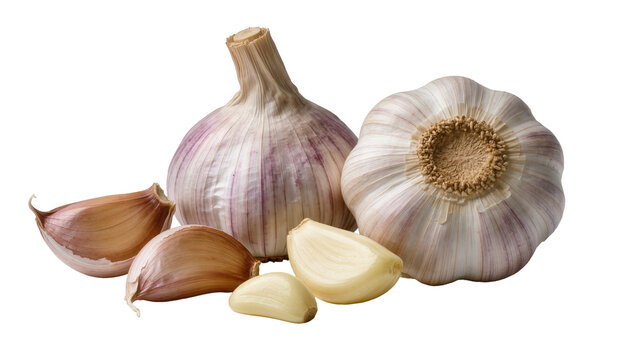 Two whole garlic bulbs and four cloves, isolated on transparent background
