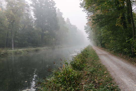 A tranquil canal path winds through a dense forest shrouded in a thick morning autumn mist