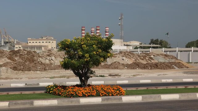 Orange marigolds and a flowering tree grow on a road median near a factory