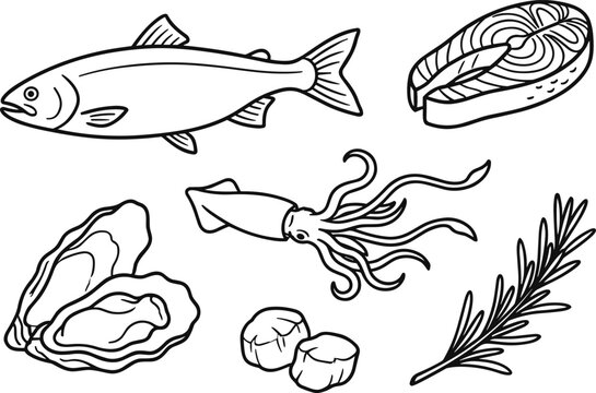 Seafood vector line art illustration set featuring fresh fish salmon steak squid oyster scallops and rosemary for restaurant menus seafood markets and culinary designs.