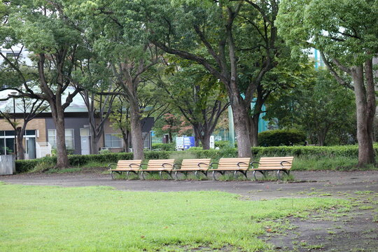 緑豊かな公園の木陰と芝生広場に一列に並ぶ木製のベンチ