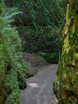 A grated walkway leads through a narrow passage of the Dragon's Gorge near Eisenach. Moss and dense vegetation cover the damp rock faces, forming a narrow path through the wooded gorge