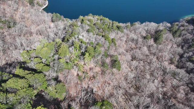 Camera tilting from leafless forest to a calm blue mountain lake, aerial reveal in Japan