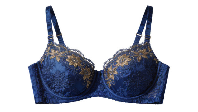 Elegant navy blue lace bra with golden floral embroidery, isolated on transparent background