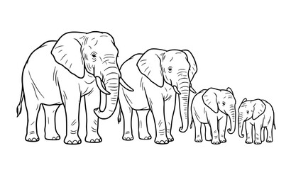 Elephant Family Black Line Art Vector Illustration © Md
