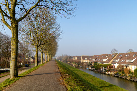 A tree-lined cycle path follows a Dutch dike beside a canal and residential neighbourhood under clear winter skies. Ideal for cycling, Dutch landscape, transport, and everyday life themes.