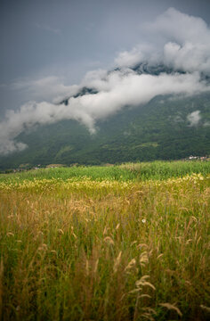 Beautiful summer mountain landscape with a blooming wildflower meadow under a dramatic stormy sky.