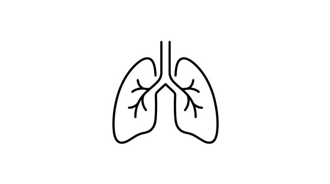 Human lung organs anatomy flat icon for medical health research science