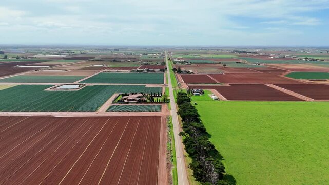 Aerial drone view of a straight country road lined with windbreak trees, a patchwork of flat farmland at Werribee South, Melbourne, Victoria, Australia, with freshly ploughed fields, green crop rows