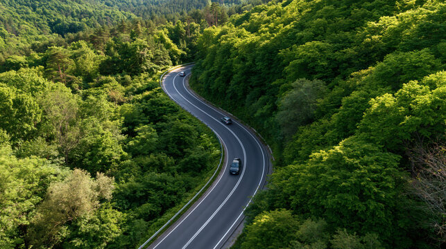 Serpentine Road Through Lush Green Forest: An aerial view captures a winding asphalt road cutting through a vibrant, sun-dappled forest, hinting at an adventurous journey.
