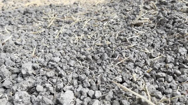 Granular black soil texture with dry organic roots