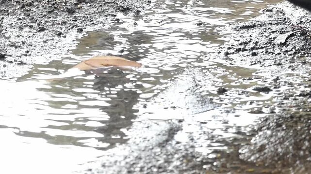 Water running on ground through bitumen and pot holes