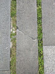 Obraz premium Cracked stone pavement with grass between slabs