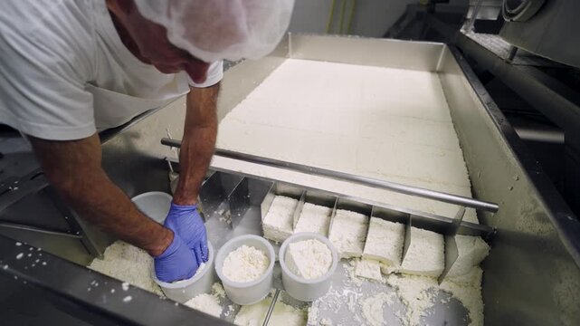 Artisan cheesemaker crafting fresh ricotta. A skilled worker carefully placing curd into molds during the cheese making process in a dairy