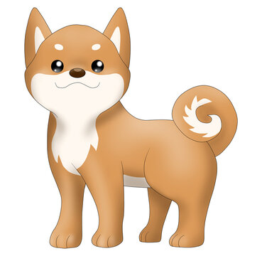 可愛い柴犬（赤柴）のイラスト