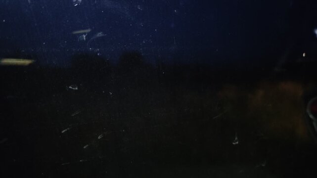 Many mosquitoes flying near a car window at night, dark background, close up