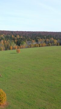 Autumn Landscape Imagery. Scenic Autumn Countryside Showcasing Foliage And Peaceful Farmland Environment. Clip