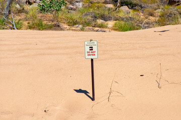 Crocodile Nesting Area in Katherine Gorge - Australian Northern Territory © Adwo