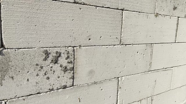 Lightweight concrete block wall texture with moss
