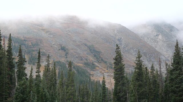 Low Clouds Drifting Over Autumn Mountain and Engelmann Spruce Forest in Colorado Rockies