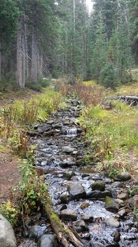 Mountain Stream with Small Cascades in Conifer Forest Near Long Lake, Colorado Rockies