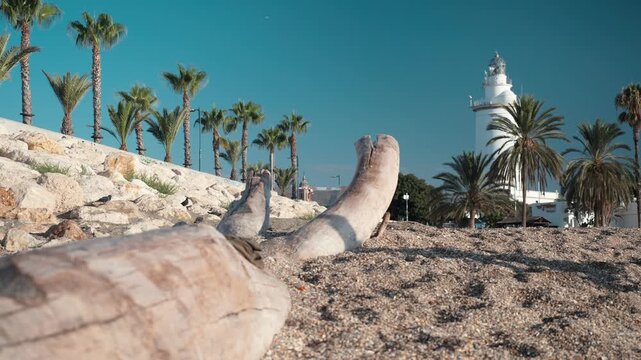 Athletic man stretching on a driftwood log on a sunlit pebble beach with palm trees and a white lighthouse, coastal living, active lifestyle, coastal tourism, solo traveler, palm trees vector