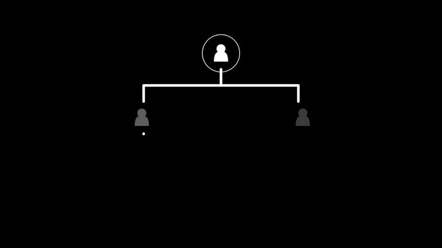 Animated Organizational Chart Hierarchy Tree Growing on a Plain Black Background