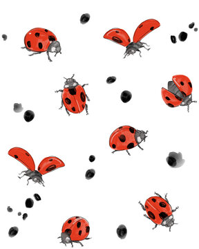 Ladybug, seamless  pattern, watercolor illustration