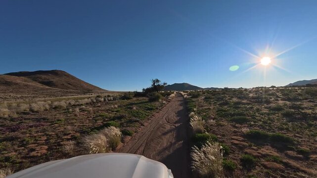A white car is driving along a narrow, bumpy road with a poor surface in the African savanna. Sunset time.