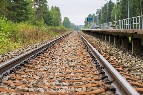 Low-angle view of empty railway tracks with rusty sleepers and gravel ballast leading toward a small station platform. Green forest trees line the rail line beneath a soft, overcast, cloudy sky