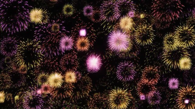 夜空を彩るフィナーレ花火 花火動画素材 4Kループ