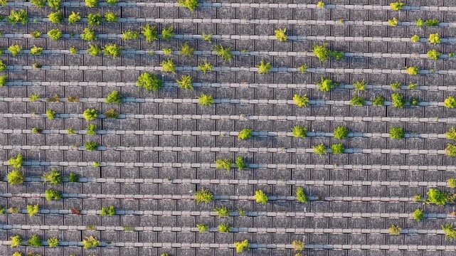 Aerial View of Floating Solar Panels With Patches of Green Vegetation