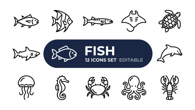 Fish Icon Set: A collection of twelve monochrome line art icons depicting various aquatic animals, including fish, shark, turtle, dolphin, and more, suitable for web design and infographics.
