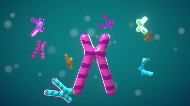 Chromosomes seamless loop three dimensional genetics DNA karyotype pink teal striped X shaped chromosomes drift and turn with colorful smaller ones for genetics research biology lessons and promos