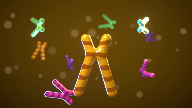Chromosomes seamless loop gold genetics DNA karyotype amber striped X shaped chromosomes drift and turn with colorful smaller ones on warm brown for genetics research biology lessons and promos