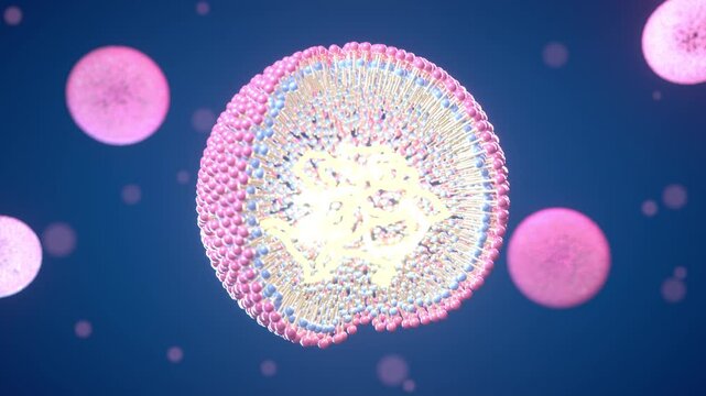 Lipid nanoparticle mRNA vaccine seamless loop drug delivery nanomedicine pink cutaway shell of lipids reveals pale RNA strands on deep blue for vaccine education biotech promos and pharma ads