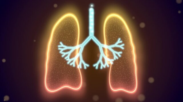 Lungs breathing seamless loop neon respiratory system bronchi anatomy glowing gold orange lungs expand with cyan airway branches on dark brown for healthcare ads and pulmonary education