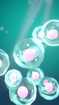 Stem cells floating seamless loop translucent cell nucleus regenerative medicine vertical teal glowing cells with pink nuclei drift in soft light rays for biotech promos beauty clinics and stories