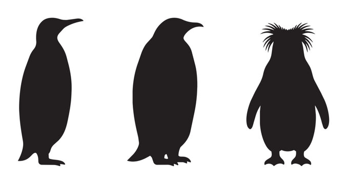Penguin silhouettes set with different species for wildlife or Antarctic themes