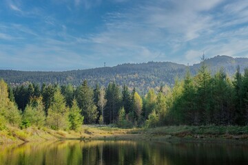 Fototapeta premium Mały staw w Karkonoszach. Brzegi pokrywa żółknąca trawa, staw okala iglasty las. W oddali widać wzniesienia. Las i niebo odbijają się w gładkiej tafli wody.
