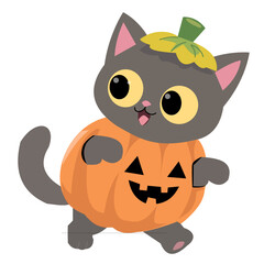 Fototapeta premium Cute Black Cat in Pumpkin Costume Vector Illustration for Halloween Celebration
