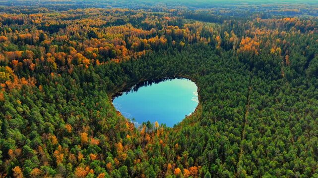 Colorful autumn forest surrounding a serene circular lake reflecting bright blue skies