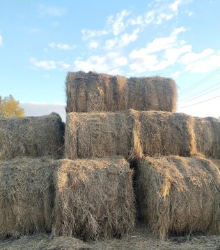 Large stacked straw bales under blue sky in Kazakhstan villagе.