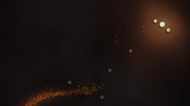 Marigold Petal Path Lit by Candles Day of the Dead Animation