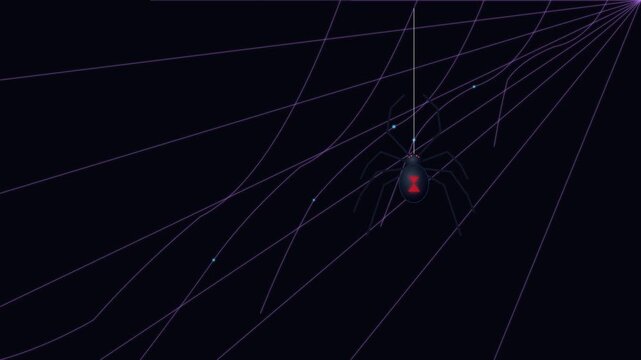 Venomous black widow spider hanging intricately on purple glowing web lines motion clip animation footage